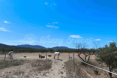 Landejendom i Yecla, Murcia, Yecla - € 219.000 | Ref: SF0531 - foto 20